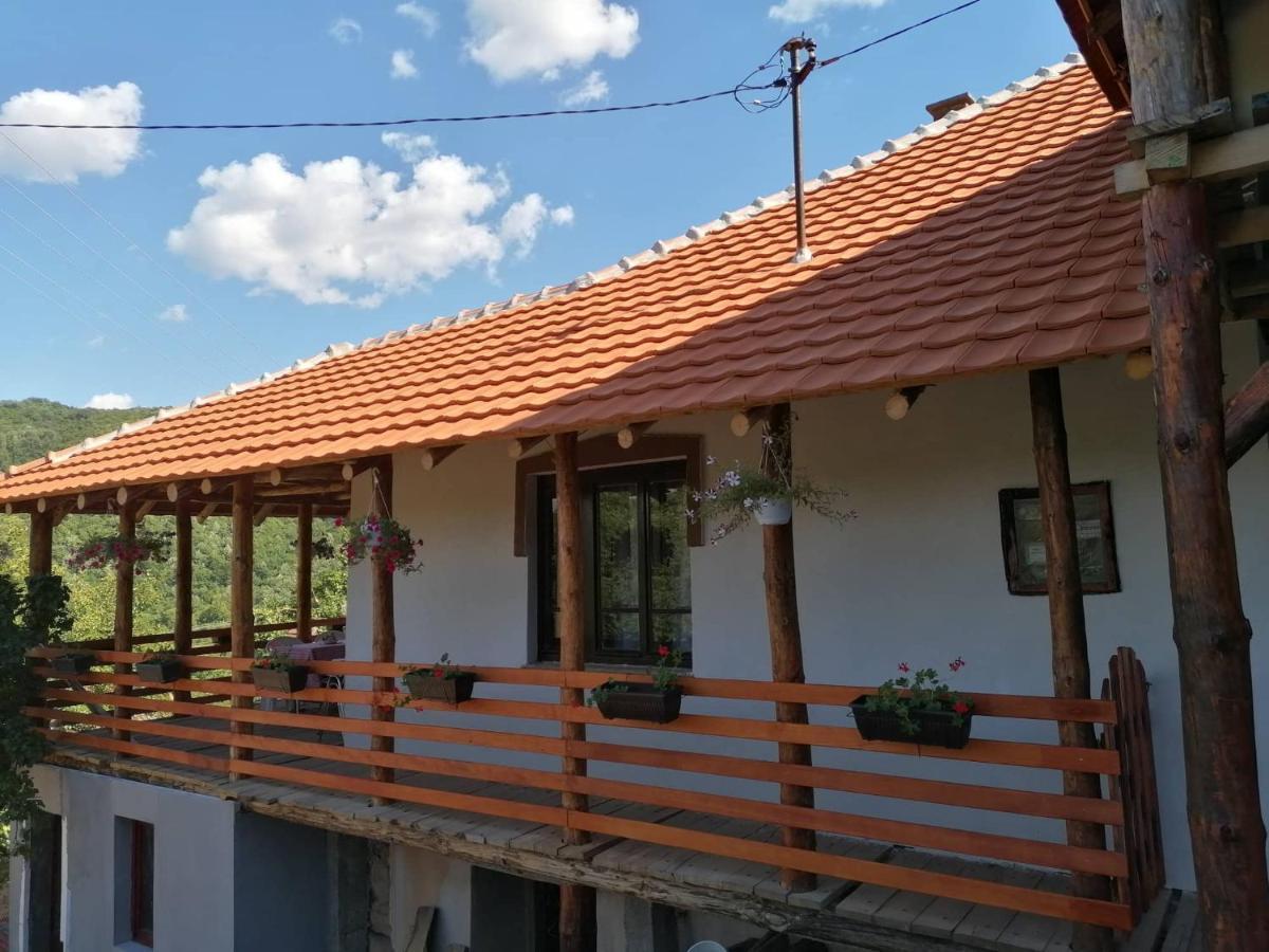 Konak Jerma Apartment Pirot Exterior foto