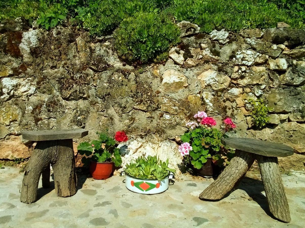 Konak Jerma Apartment Pirot Exterior foto