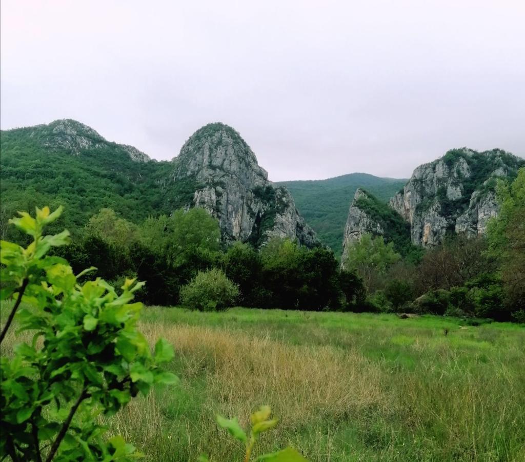 Konak Jerma Apartment Pirot Exterior foto